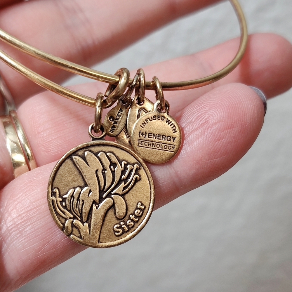 💎 2/$15 Alex and Ani 2014 Gold tone SISTER bracelet - Picture 6 of 6